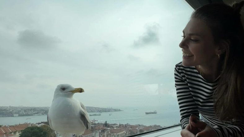 Aslı Enver'in 41. Yaş Doğum Günü Kutlaması Sosyal Medyayı Salladı!