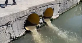 Marmara’da müsilaj denetimleri sürüyor! CHP'li belediyeye 6.6 milyon TL ceza