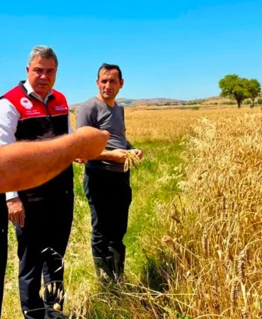 Balıkesir'de Hububat Hasadı Sürüyor: Dr. Düzgün Çiftçilerle Buluştu