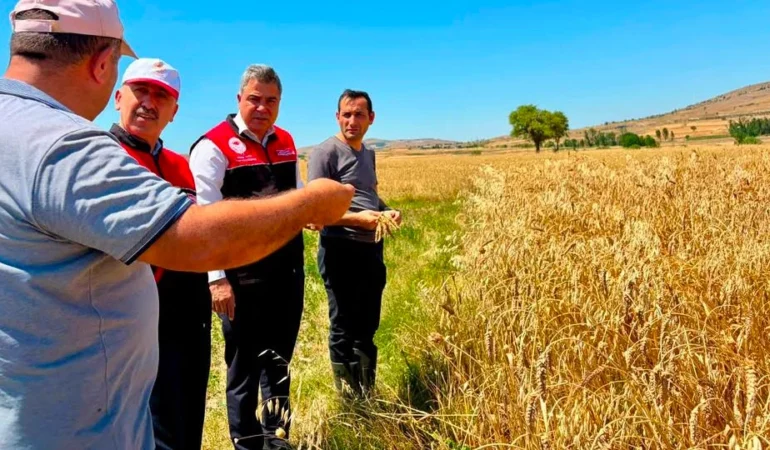 Balıkesir’de Hububat Hasadı Sürüyor: Dr. Düzgün Çiftçilerle Buluştu