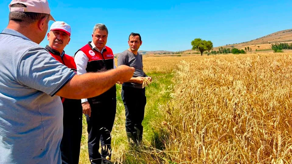 Balıkesir'de Hububat Hasadı Sürüyor: Dr. Düzgün Çiftçilerle Buluştu