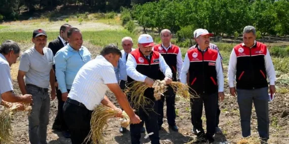 Balıkesir Valisi Ustaoğlu, Cinge’de Sarımsak Hasadına Katıldı