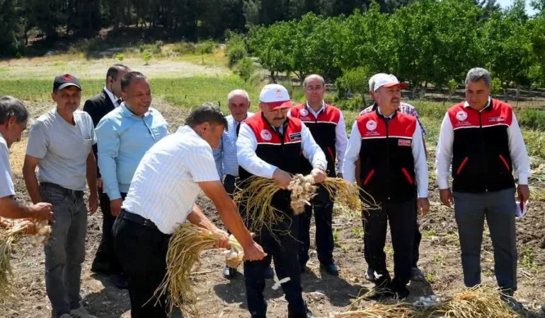 Balıkesir Valisi Ustaoğlu, Cinge’de Sarımsak Hasadına Katıldı