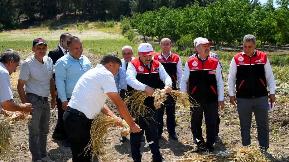 Balıkesir Valisi Ustaoğlu, Cinge'de Sarımsak Hasadına Katıldı