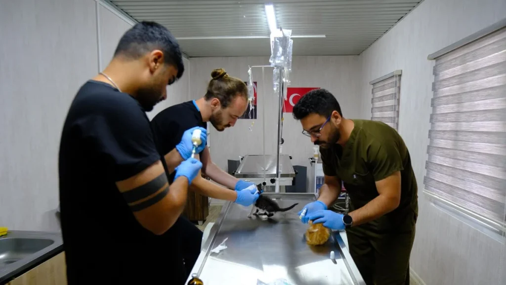 Altıeylül Hayvan Bakımevi'nde 306 Can Dost Yeni Yuva Bekliyor