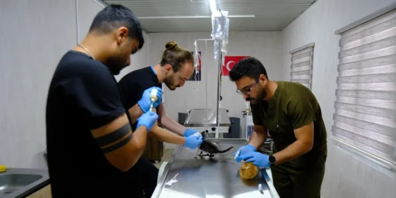 Altıeylül Hayvan Bakımevi'nde 306 Can Dost Yeni Yuva Bekliyor