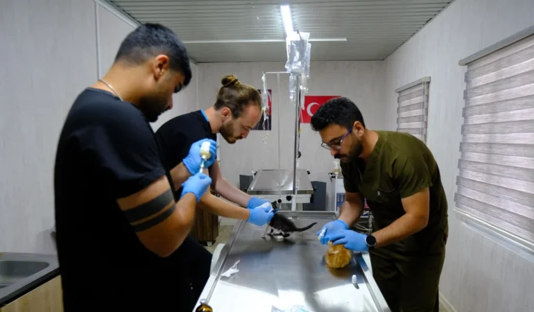 Altıeylül Hayvan Bakımevi’nde 306 Can Dost Yeni Yuva Bekliyor