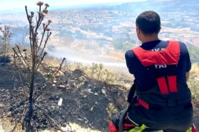 Balıkesir İtfaiyesi Haziran'da 901 Yangına Müdahale Etti