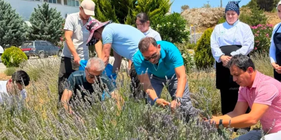Burhaniye’de Lavanta Hasadı Şenliği: BUBYO Öğrencileri Tarlada Buluştu