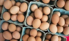 dfif-kesintisi-kalkti-yumurta-ihracatcisi-rahatladi-cvkKA84L.jpg