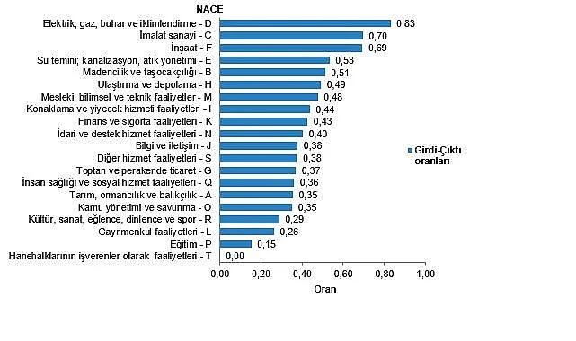 arz-ve-kullanim-tablolari-girdi-cikti-tablolari-2023-vE4EjCOD.jpg