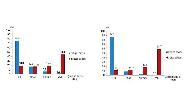 girisim-ozelliklerine-gore-dis-ticaret-istatistikleri-2024-AHhpfEw3.jpg